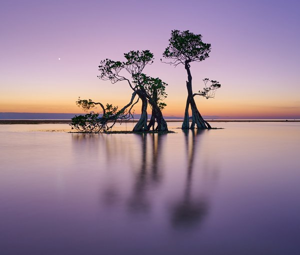 Purple Hour — Indonesia landscape, 2024. Photograph by Leonardo Güngen.